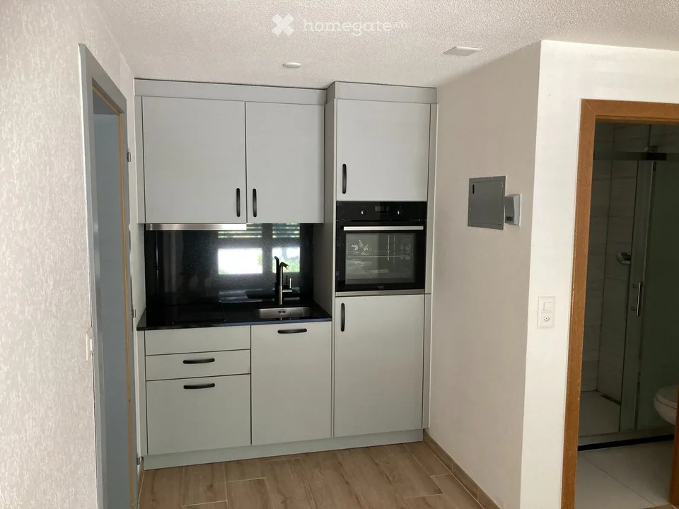 Neu renoviertes Studio zu Vermieten in Agarn /VS