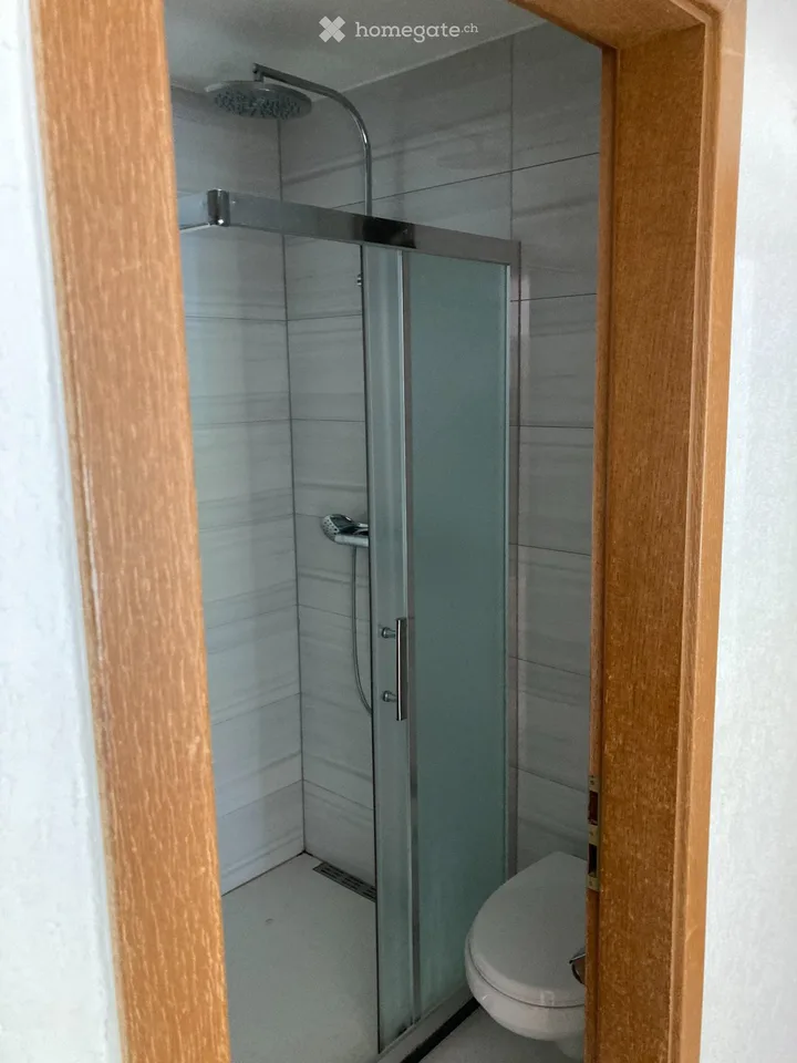 Neu renoviertes Studio zu Vermieten in Agarn /VS