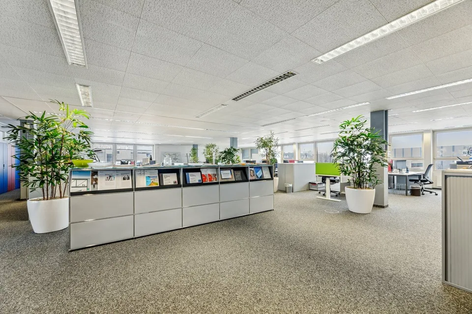 Arbeiten, wo Flexibilität auf Infrastruktur trifft