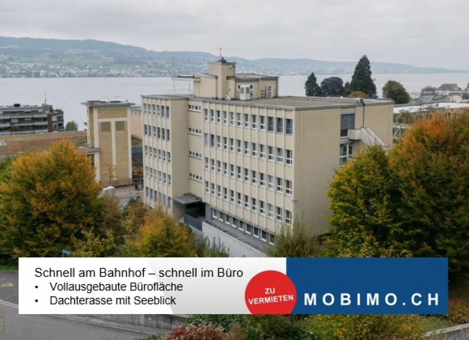 Horgen: Ausgebautes Büro Plug and Play