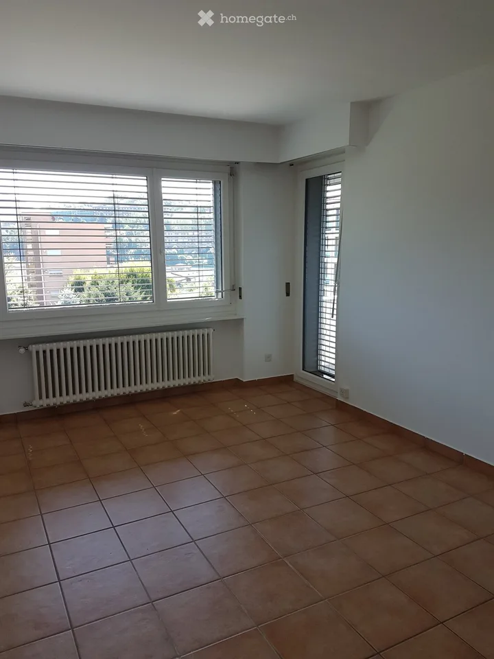 Wohnung 3.5 Zimmer mit weiter Sicht in Vacallo