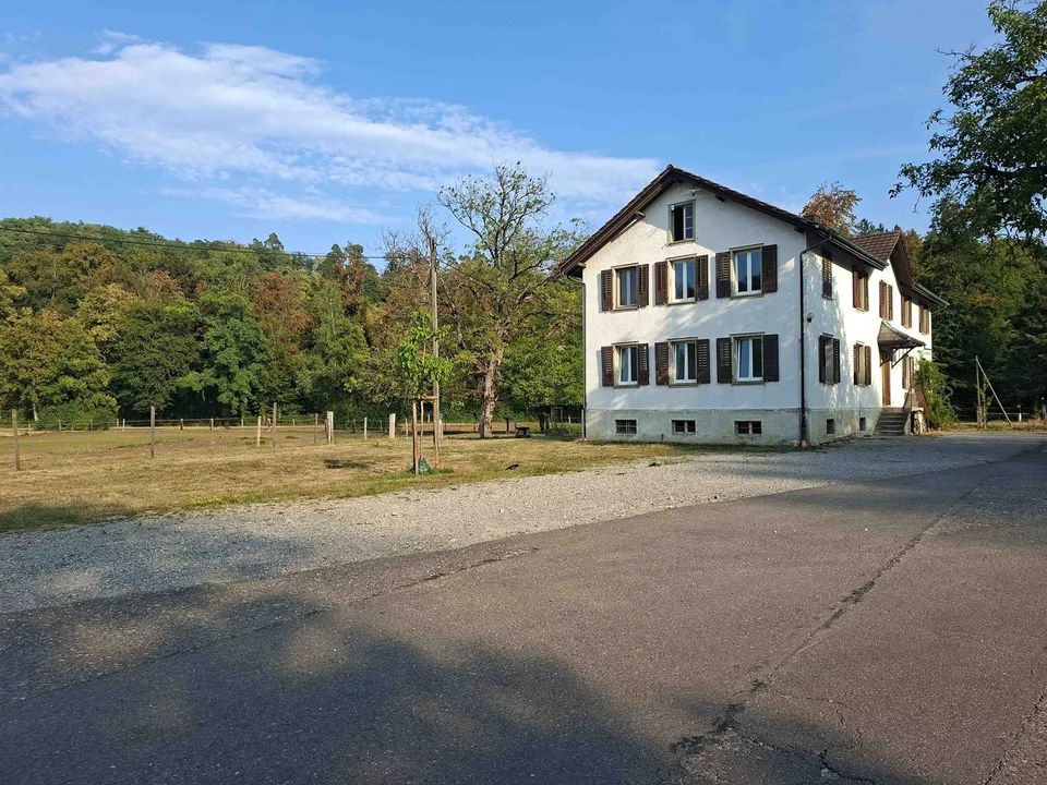 In affitto nella zona verde vicino alla Glatt, un appartamento di 3,5 locali con 61 m2 – foto 9 di 9