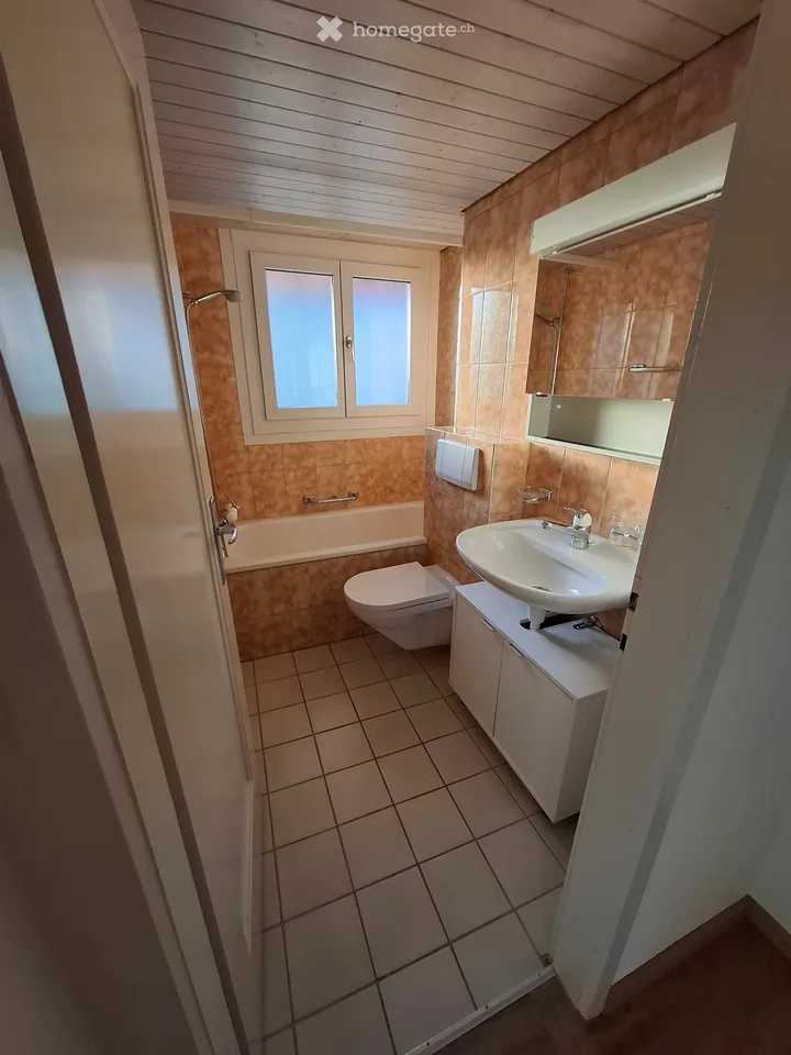 Appartement de 3 pièces confortable