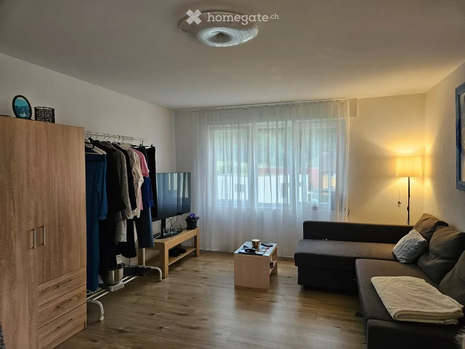 Neuwertige 3.5 Zimmer Wohnung