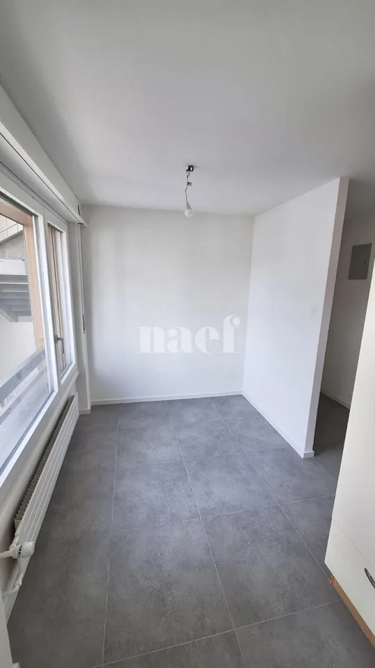Renovierte - Schönes helles 3.5-Zimmer-Apartment