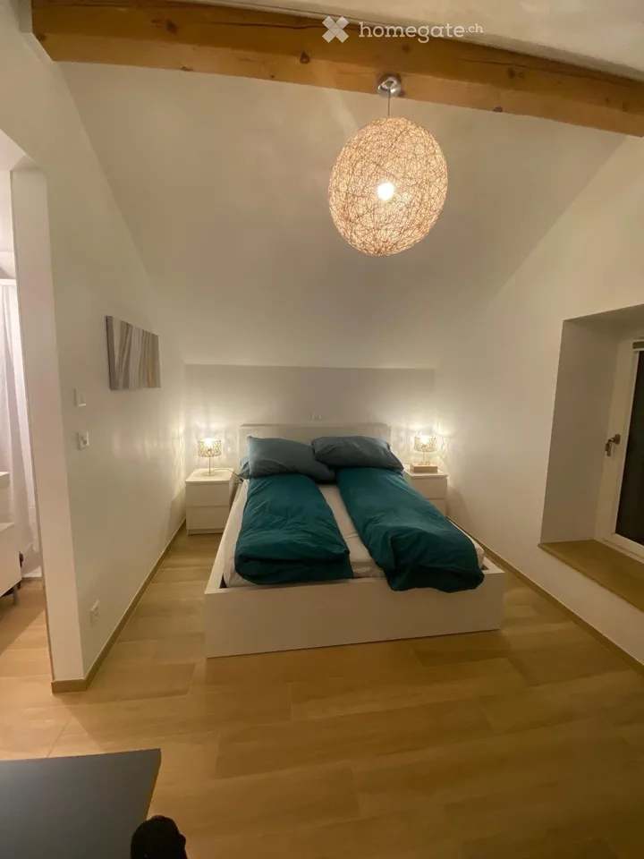 Magnifique appartement meublé au calme - courte durée