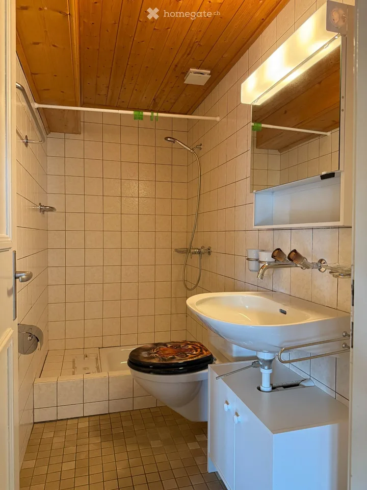2 Zimmer Dachwohnung