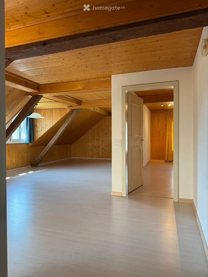 2 Zimmer Dachwohnung