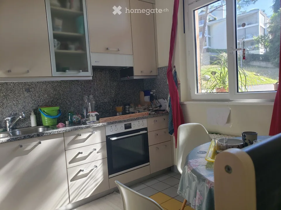 Je cherche un sous-locataire pour un appartement avec jardin