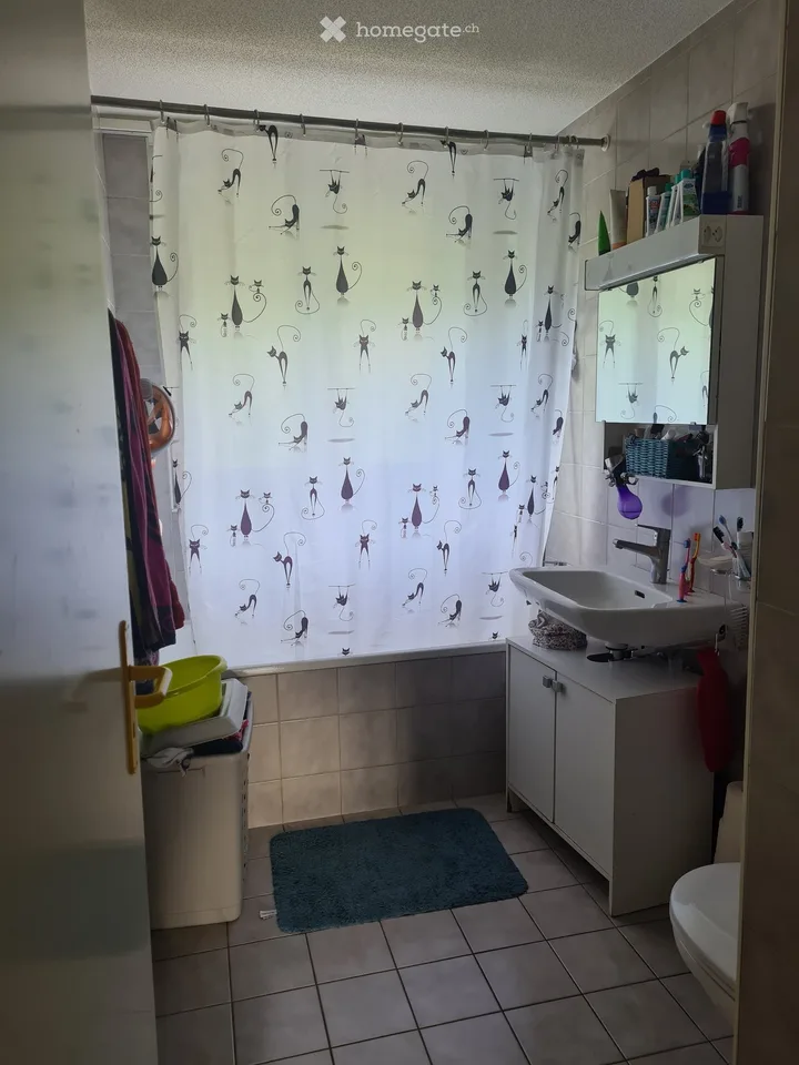 4,5 locali, Vilars