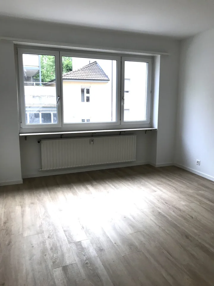 High-quality renovated apartment with balcony