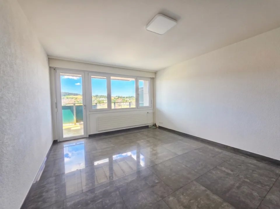 Colpo di fulmine: Meraviglioso appartamento di 3,5 locali completamente ristrutturato con vista sulla città
