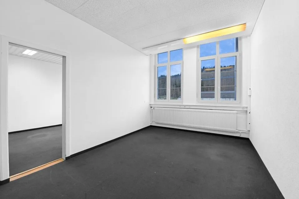 Unternehmerische Perspektiven für Büronutzung, Lagerfläche, Praxis, Atelier – Foto 6 von 12