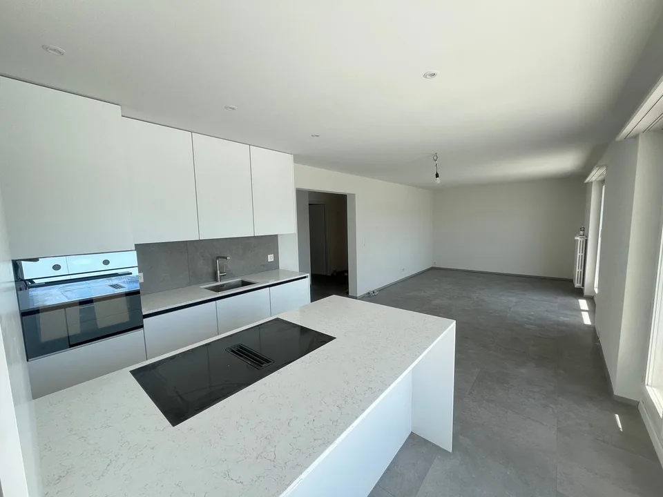 Primo occupante dopo ristrutturazione totale – appartamento moderno di 2,5 locali con 2 ampie terrazze a Olten