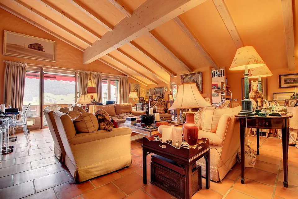 Appartement aux combles sur les hauteurs