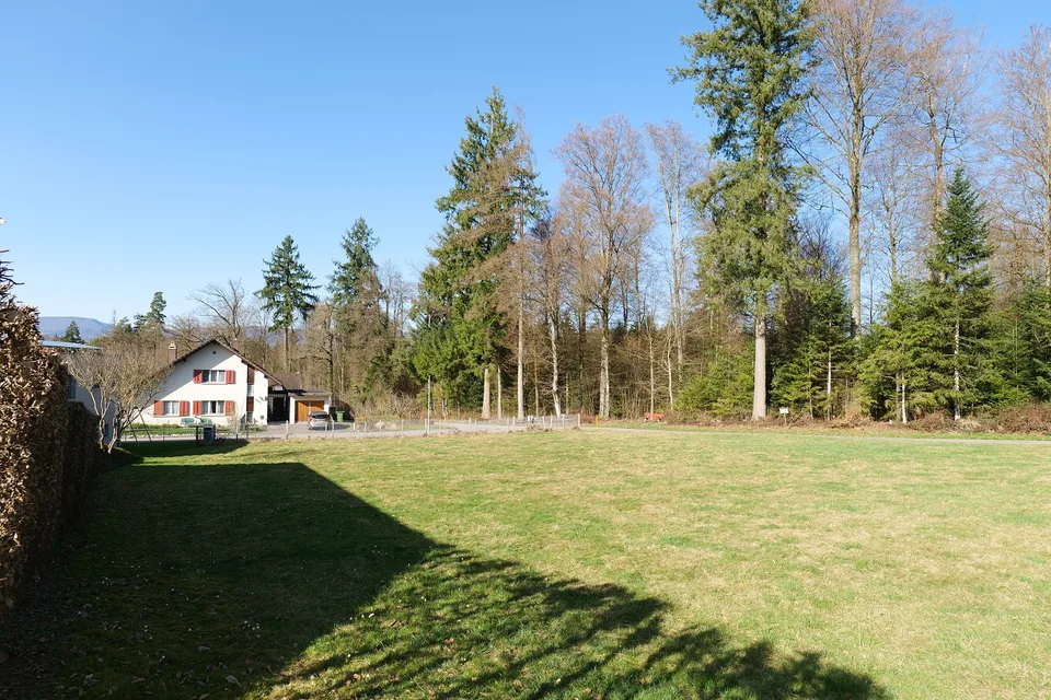 Terreni in una posizione tranquilla e bella a Glashütten