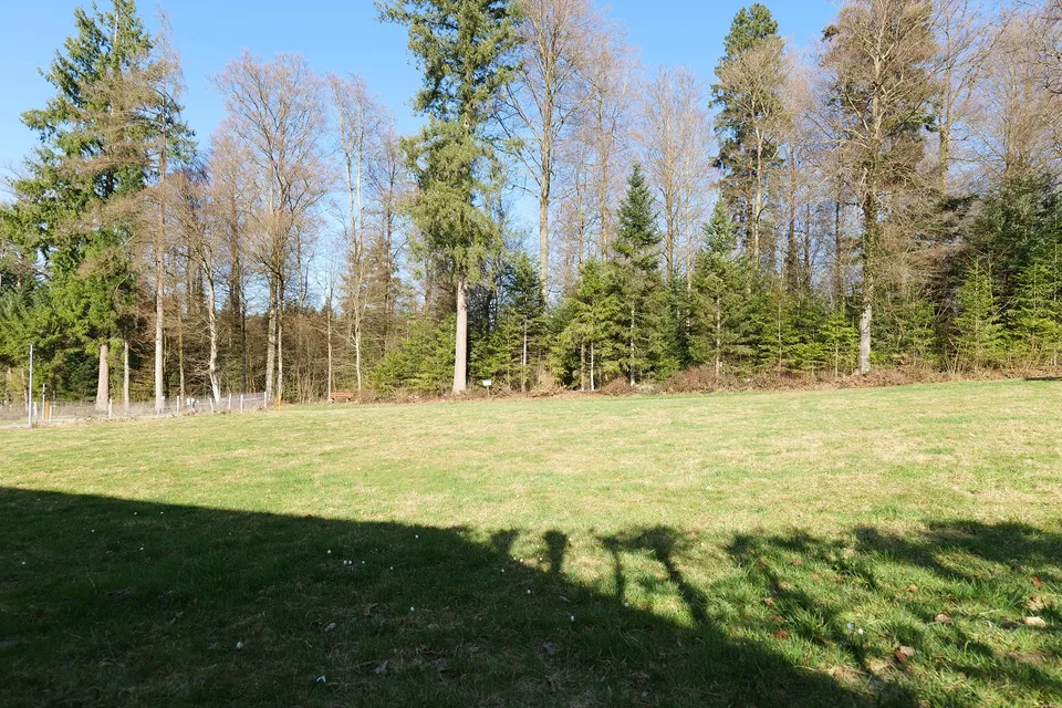 Grundstücke an ruhiger, schöner Lage in Glashütten – Foto 6 von 6