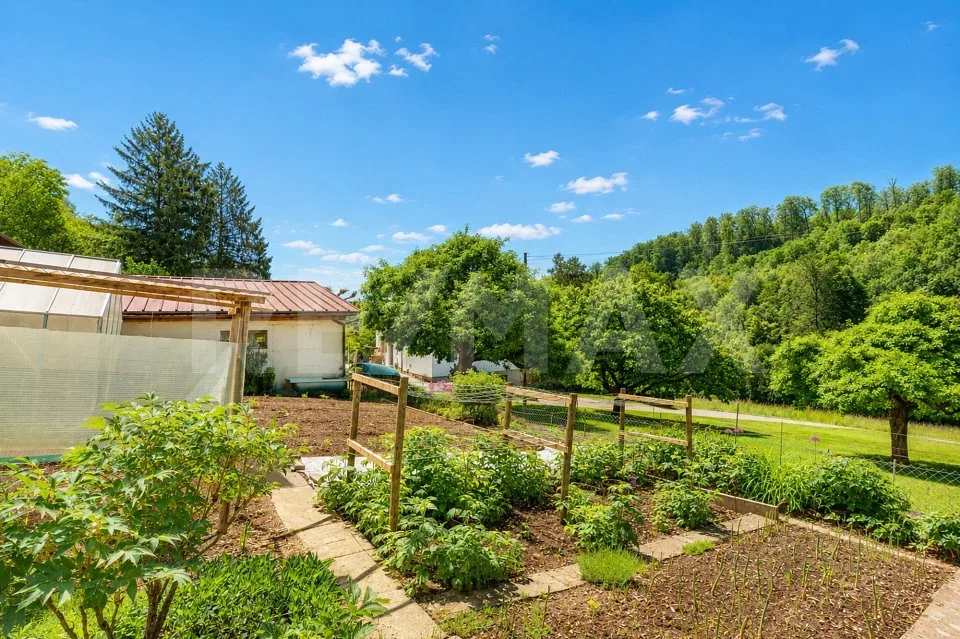 5'933 m² Connesso alla natura, autonomo, libero & senza disturbi Il tuo paradiso personale a Bad Zurzach