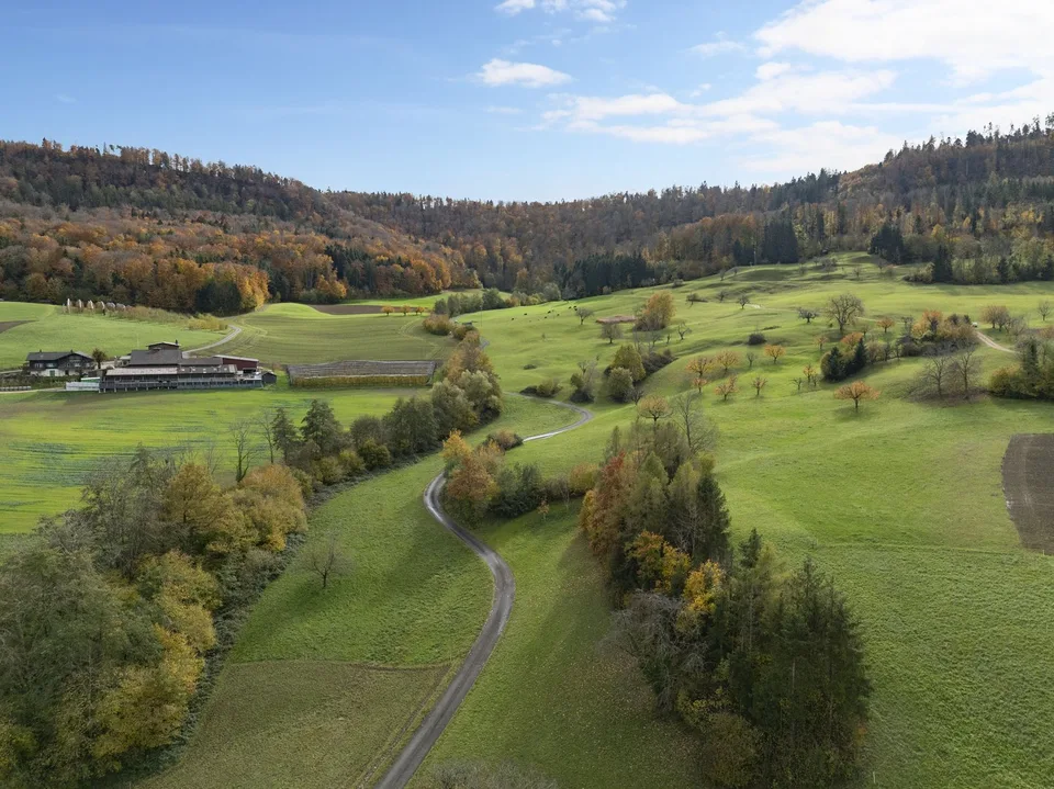 VIVERE CON UNA VISTA PANORAMICA: Appartamento nuovo di 3,5 locali a Wegenstetten – foto 8 di 9