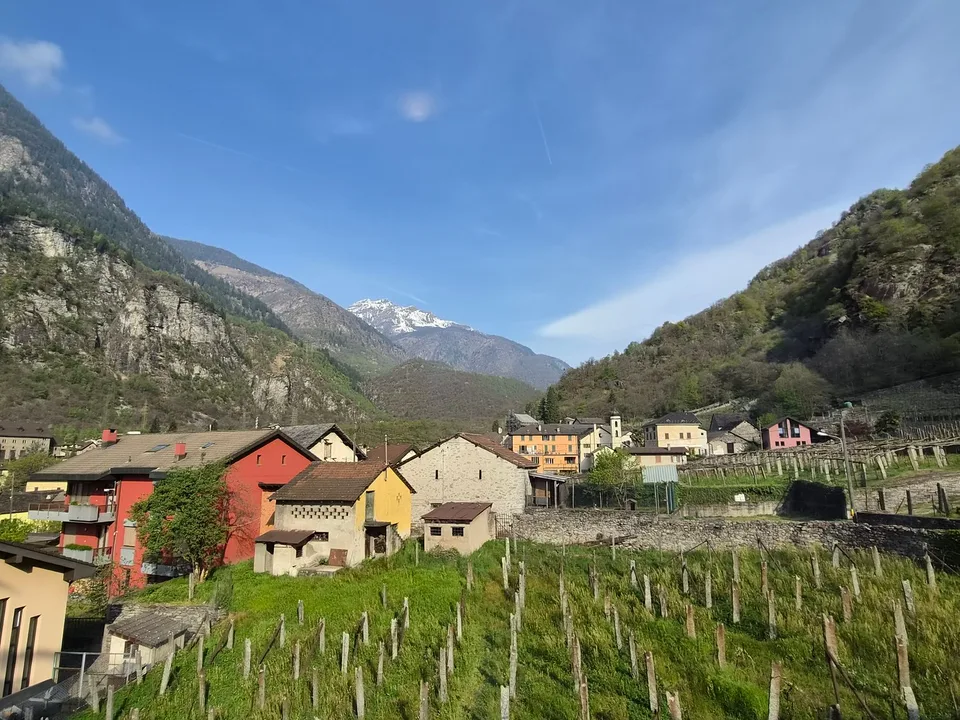 Casa unifamiliare - Giornico – photo 38 sur 38
