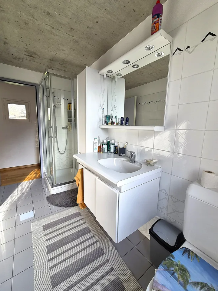 Casa unifamiliare - Giornico – photo 28 sur 38
