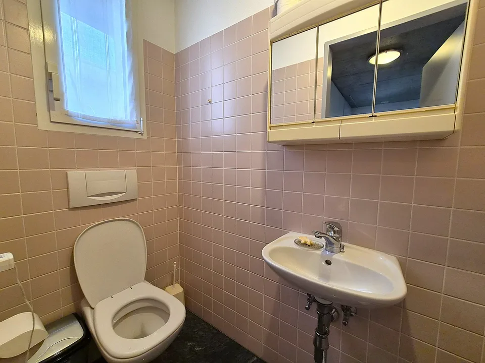 Casa unifamiliare - Giornico – photo 29 sur 38