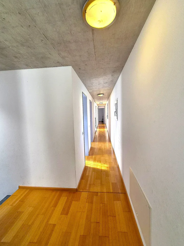 Casa unifamiliare - Giornico – photo 30 sur 38