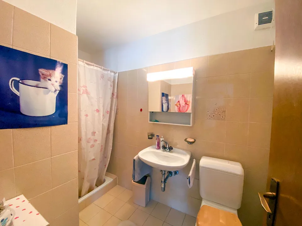 Grande casa unifamiliare con giardino e vista sui Castelli di Bellinzona – foto 18 di 22