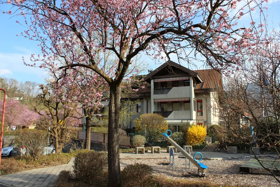 Very attractive and newly renovated 4.5-room apartment with balcony including PP AEH