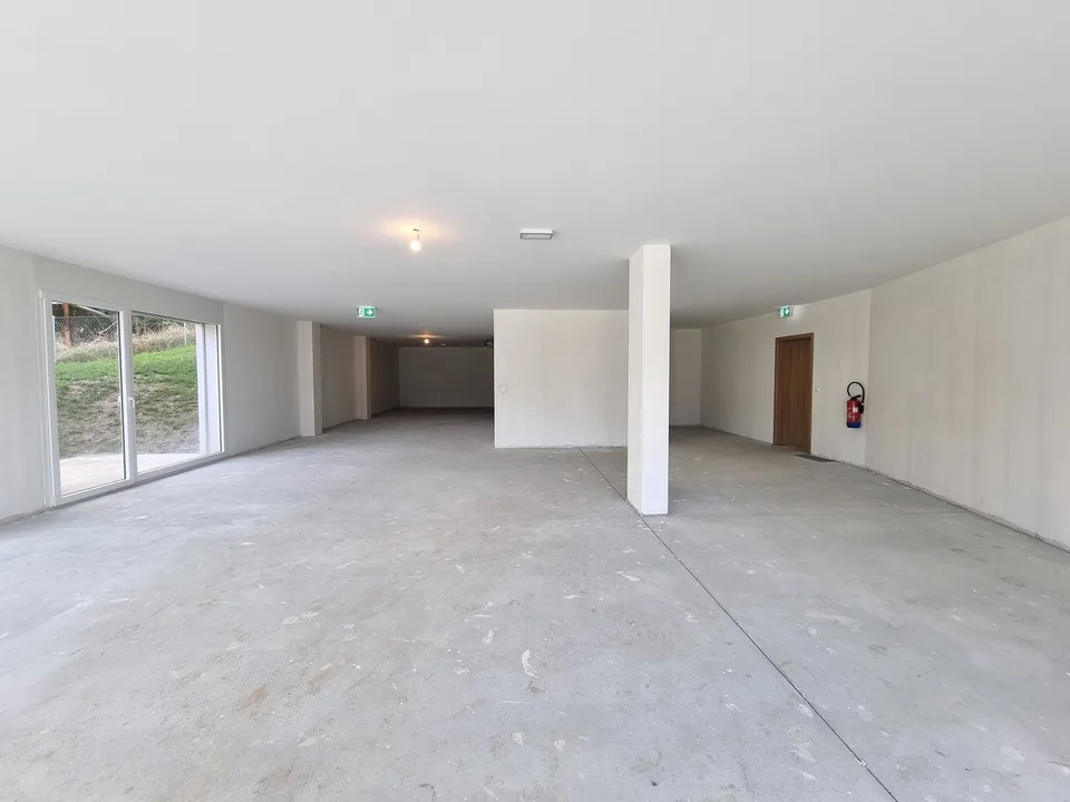 NEUF ! SURFACE COMMERCIALE DE 209 M² AVEC TERRASSE-PELOUSE