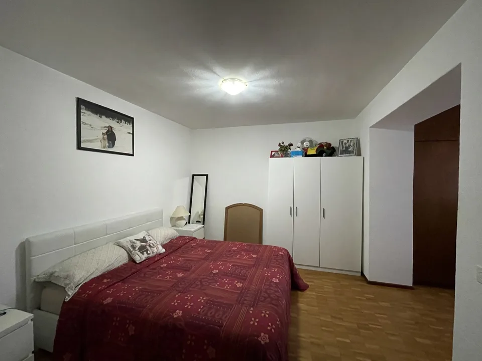 Semi-detached house with Rustico and garden in the core