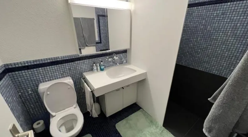Charmante 2.5-Zimmer-Wohnung mit Bergblick in Flums