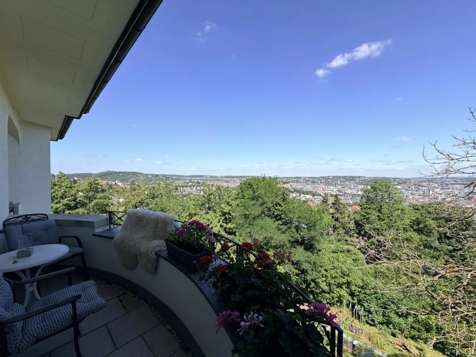 Villa in stile Art Nouveau con vista panoramica e 6.315 m² di parco a Stuttgart – foto 22 di 32