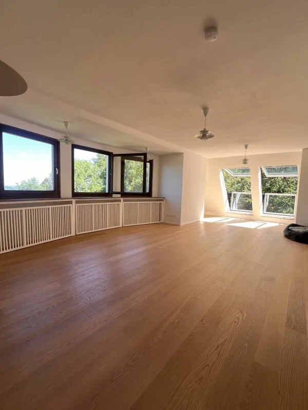 Villa in stile Art Nouveau con vista panoramica e 6.315 m² di parco a Stuttgart – foto 28 di 32