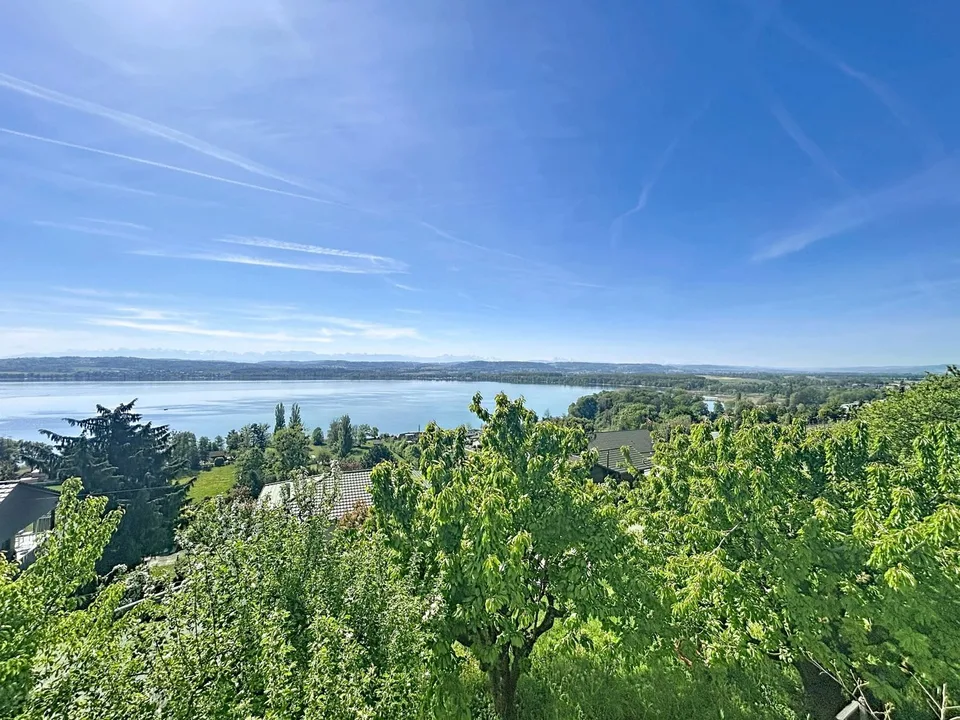 Villa with breathtaking views of Lake Morat
