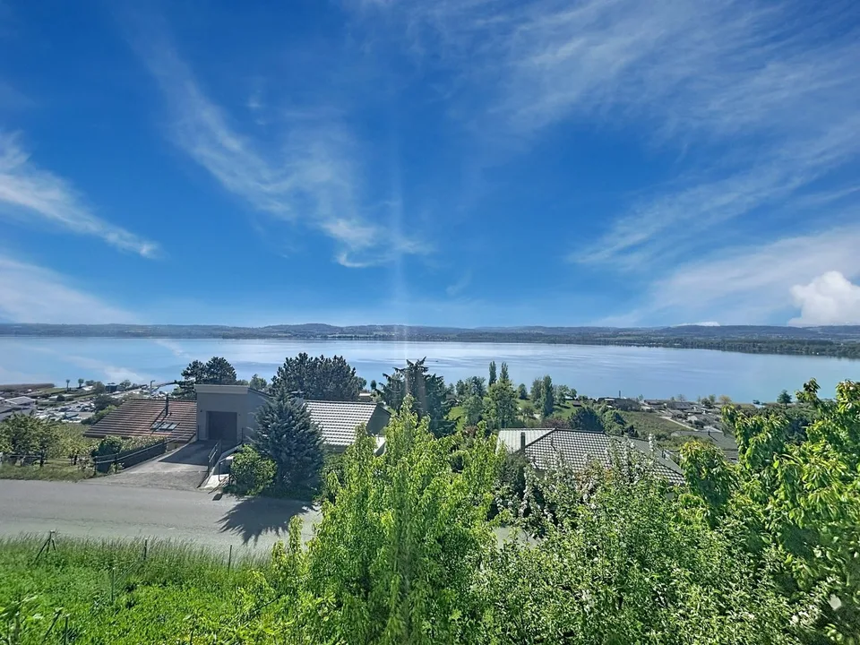 Villa with breathtaking views of Lake Morat