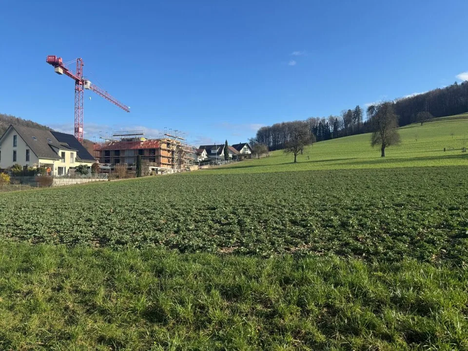 Attraktive 4.5-Zimmer-Neubauwohnung in steuergünstiger Wohnlage