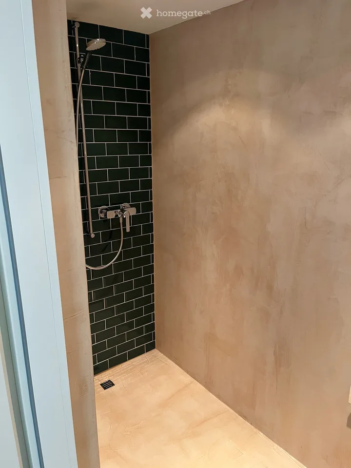 Appartamento loft 3,5 locali a Langnau am Albis