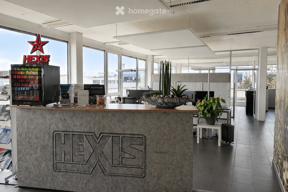Moderne Gewerbefläche – 775 m² in Birr (AG)