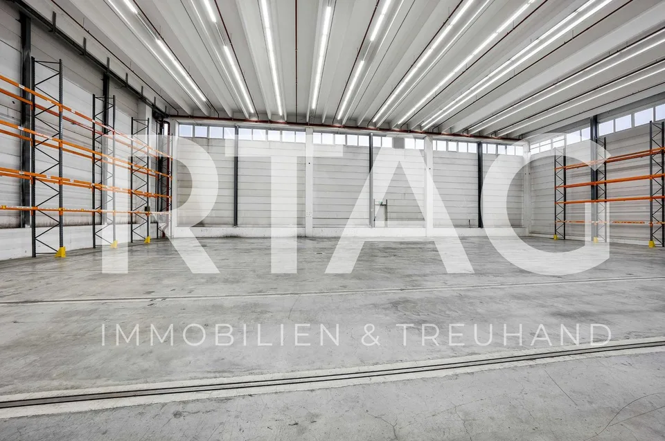 Lagerfläche