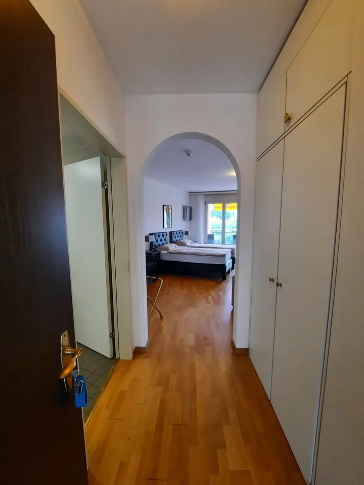 Appartement confortable 1.5 pièces meublé à Muralto avec balcon