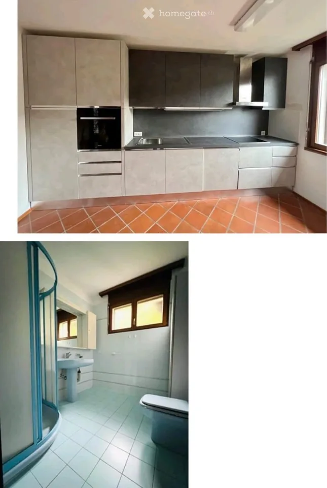 I'm looking for a 5.5-room apartment with garden and terrace as a sublessee
