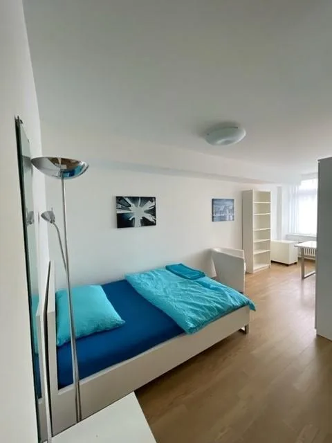 Appartamento 1 camera arredato con stile a Kleinbasel