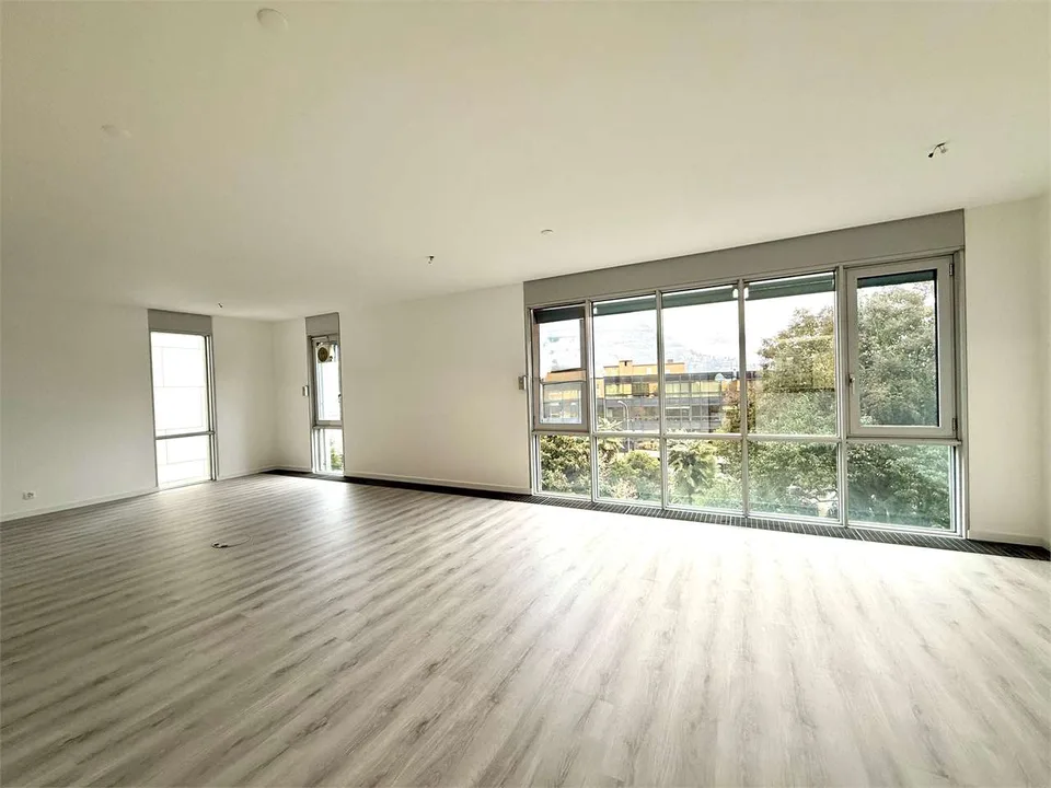 Lugano, repräsentatives Büro mit 7 Räumen und panoramischem Seeblick