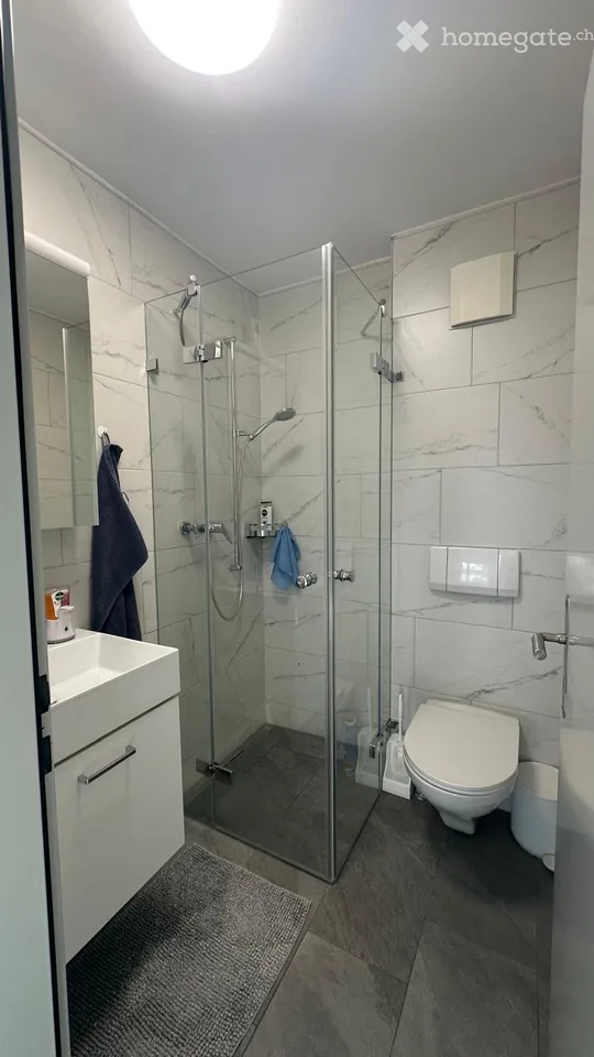 Helle 4.5-Zimmer-Wohnung in Schachen LU – ruhige Lage mit top Infrastruktur