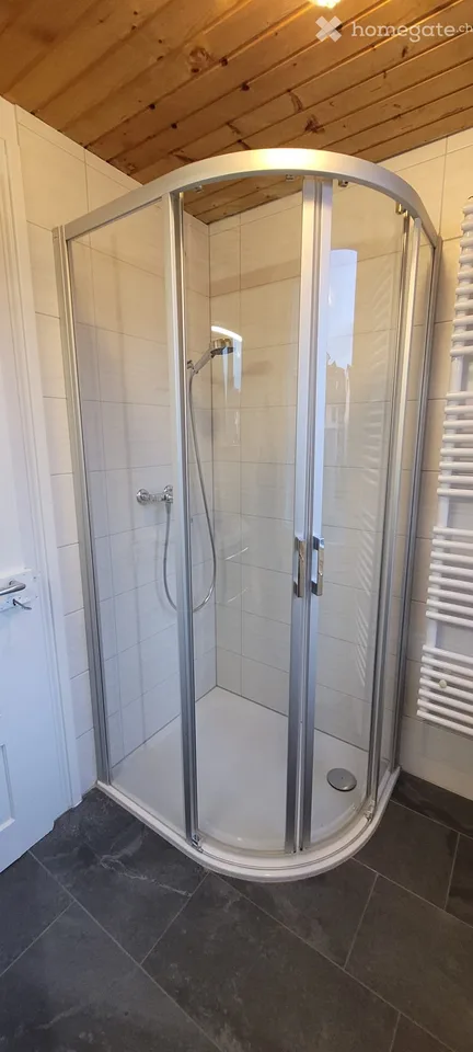 4.5 Zimmerwohnung mit grosser Terasse