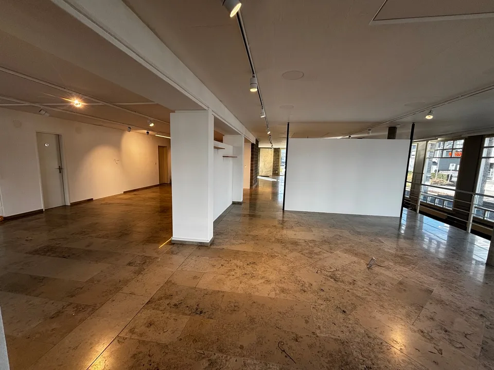 Espace commercial attractif – spacieux et polyvalent – photo 8 sur 19