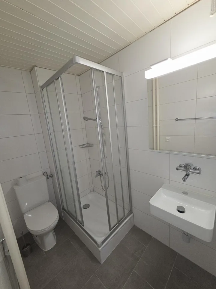 Charmantes 2-Zimmer-Wohnung im Zentrum von Freiburg