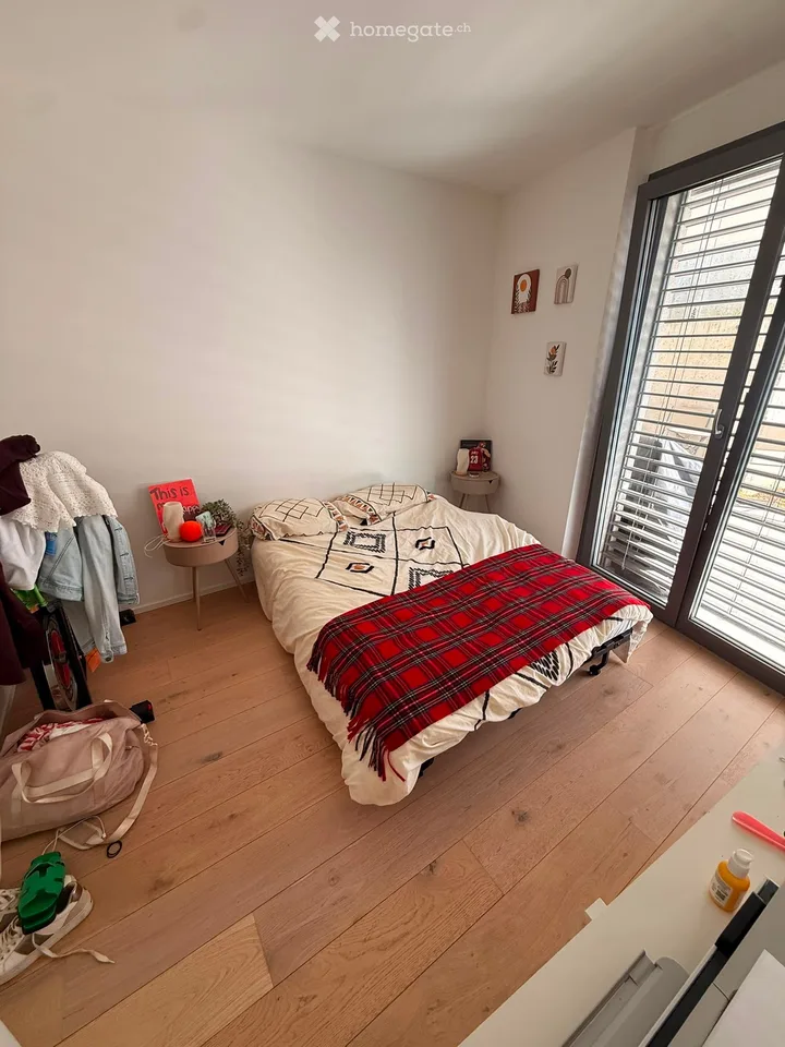 Magnifico 3.5 con terrazza/giardino e vista sul lago