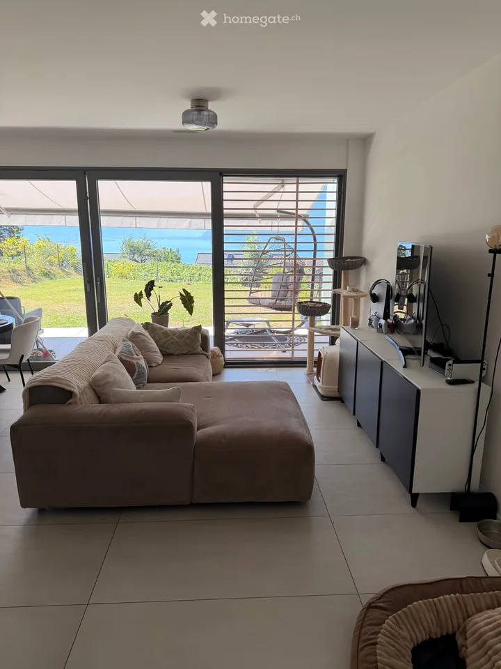 Magnifico 3.5 con terrazza/giardino e vista sul lago